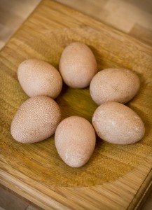 Guinea fowl eggs