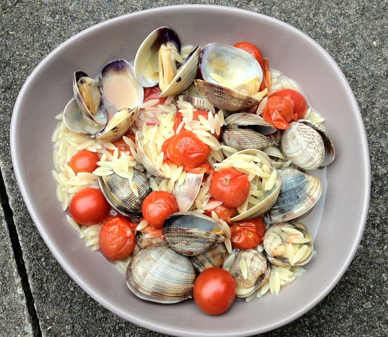 Orzo with palourde clams and cherry tomatoes