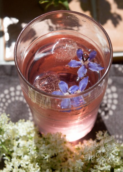 Pink gin and tonic with borage