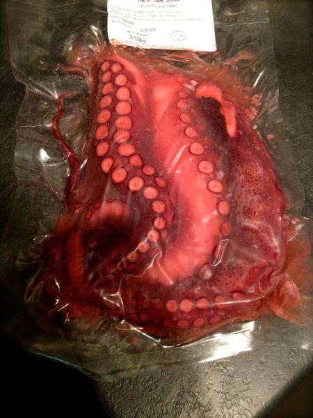 bag octopus